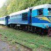 Залізничний туризм на вузькоколійних залізницях в Карпатському регіоні України 